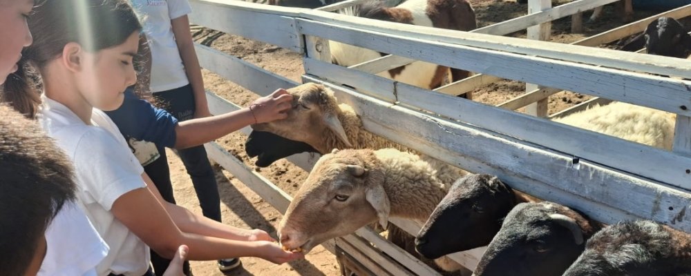TRABALHO DE CAMPO – HARAS DO LAGO ENSINO FUNDAMENTAL I TRABALHO DE CAMPO – HARAS DO LAGO ENSINO FUNDAMENTAL I