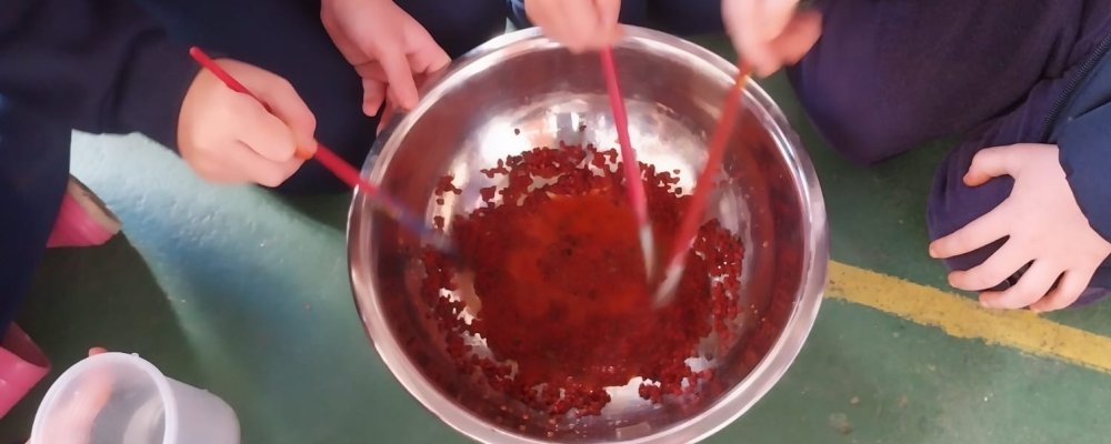 EXPLORANDO O URUCUM: UMA EXPERIÊNCIA SENSORIAL E ARTÍSTICA. 2º PERÍODO EXPLORANDO O URUCUM: UMA EXPERIÊNCIA SENSORIAL E ARTÍSTICA. 2º PERÍODO